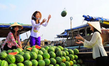 Du lịch miệt vườn sông nước Cửu Long